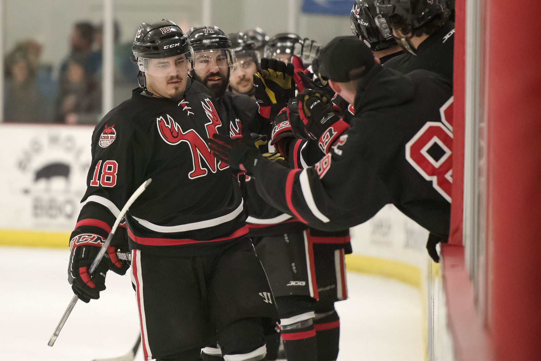 Moose hockey